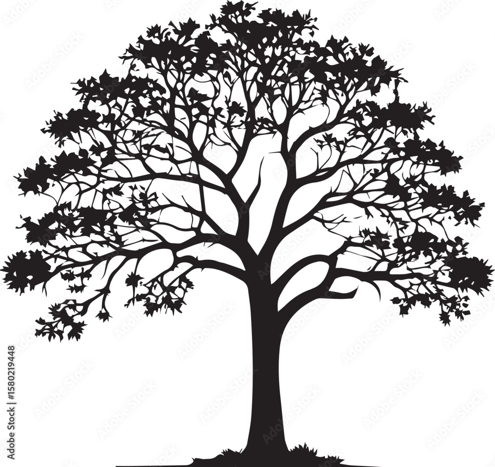 Fototapeta premium Tree silhouette Vector | Minimalist & Trendy Tree Silhouette Design | Unique & Stylish Tree Artwork for Vector design