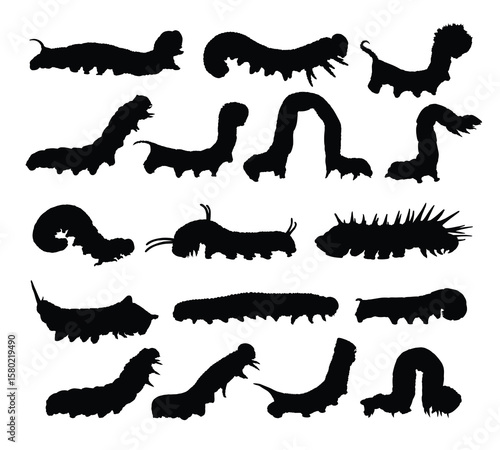 Set of caterpillar silhouettes.
