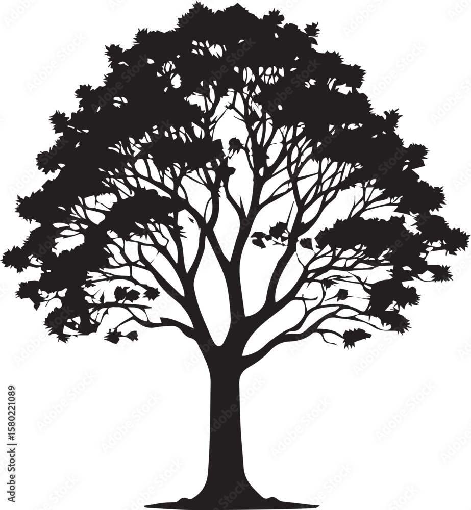 Fototapeta premium Tree silhouette Vector | Minimalist & Trendy Tree Silhouette Design | Unique & Stylish Tree Artwork for Vector design 