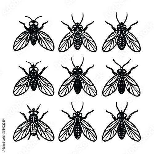 Set of Black Fly Vector Silhouettes – Winged Insect Icons with Transparent Wings and Detailed Bodies for Pest Control, Nature, and Entomology Design Concepts