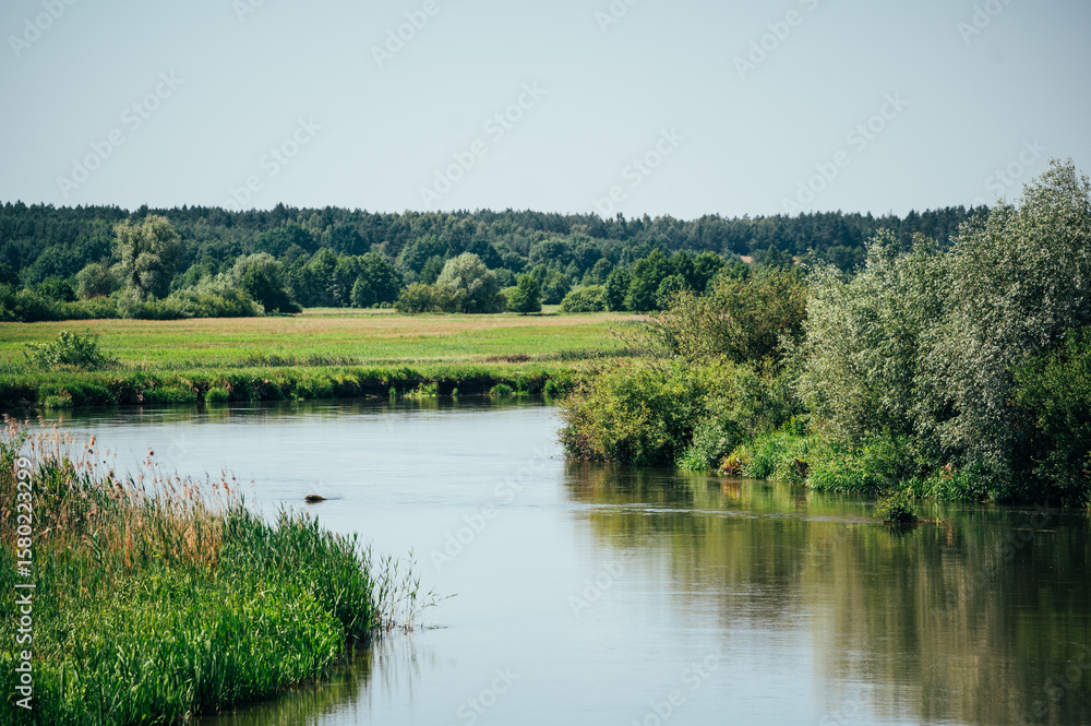 Fototapeta premium View to a river Wieprz in a sunny day