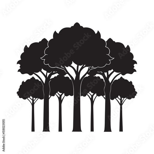 Row Of Ancient Forest Tree Silhouettes