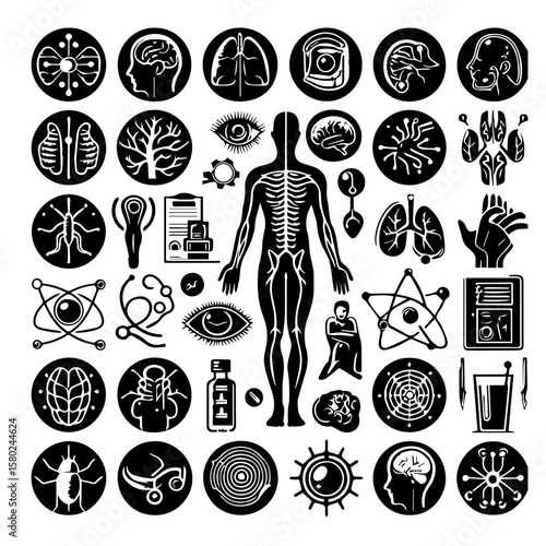set of Internal organs (such as lungs, heart, and brain)