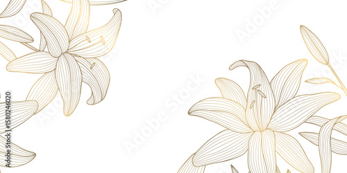 Vector flower gold line background, plant spring blossom corners, leaves floral lily frame. Chinese, japanese oriental nature border.