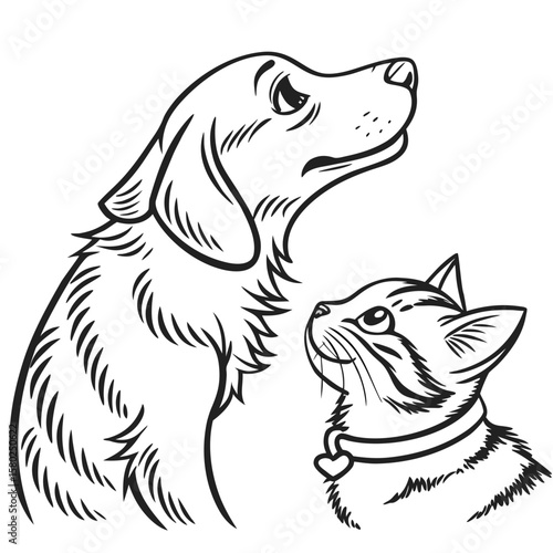 Adorable cat and dog duo: line art of furry companions. Vector hand-drawn doodle illustration black and white