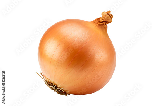 Wallpaper Mural Isolated PNG of Golden Onion Vegetable Food Ingredient on Transparent Torontodigital.ca