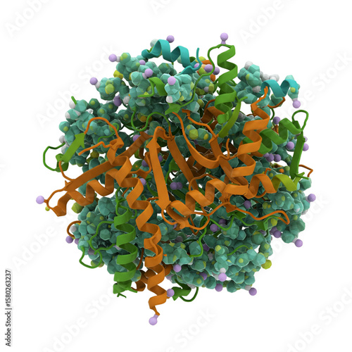 Isolated Transparent Background Molecule Structure Showing Spiral Ribbons 3D