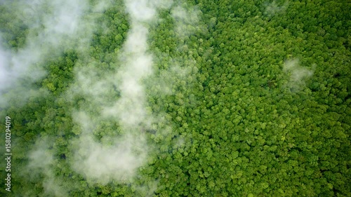 Wallpaper Mural Ethereal drone capture of mist-covered Great Smoky ridges. Torontodigital.ca