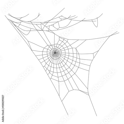 Asymmetrical Spider Web Isolated on White Background – Hand Drawn Illustration eps  6
