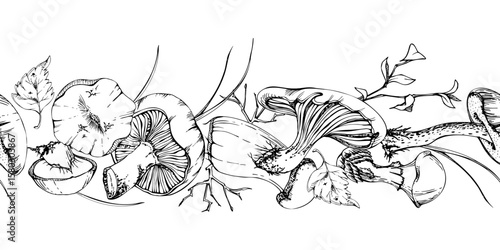 Bolete cep russula suillus mushroom fungi with leaves twigs pine needles, autumn forest harvest, vegan cooking edible raw ingredient. Seamless banner header hand drawn in vector ink. Decals, stencils