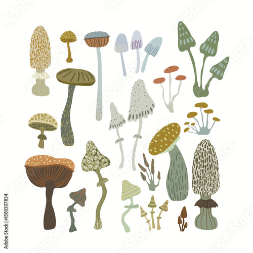 Hand drawn  mushrooms set  on white background. Vector fall illustration.