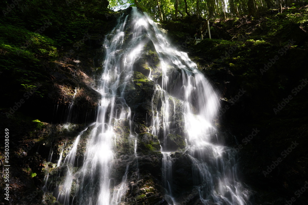 Fototapeta premium 滝のある風景 奈良県御杖村 不動の滝