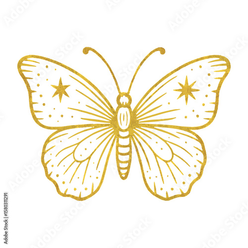 Golden butterfly with celestial patterns vector