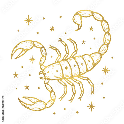 Golden scorpion amidst stars vector