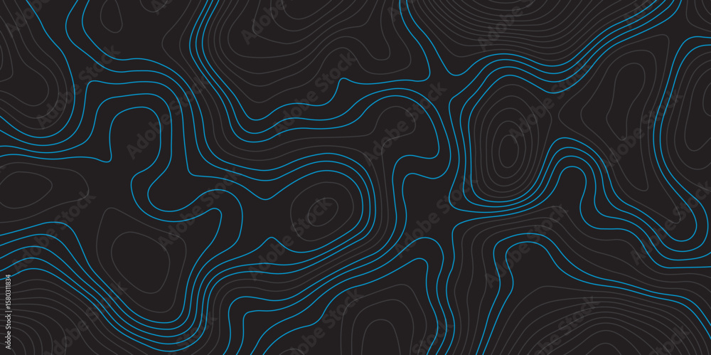 Fototapeta premium A dark background with intricate, flowing blue topographic lines creating an abstract and textured pattern.