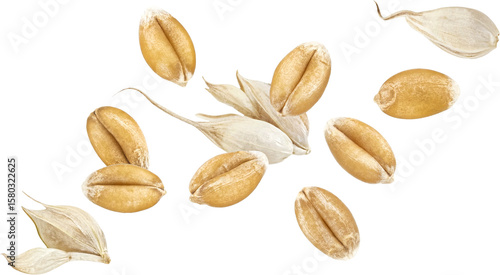 Foto Wheat seeds isolated on white background