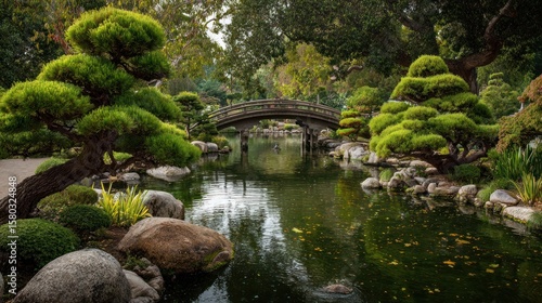 Tranquil Japanese garden with a bridge