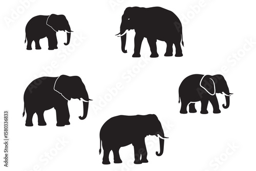 Black Silhouettes of Elephants Set. African and Asian Elephant Vector Clipart