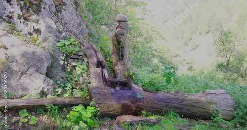 Wooden source of water in nature