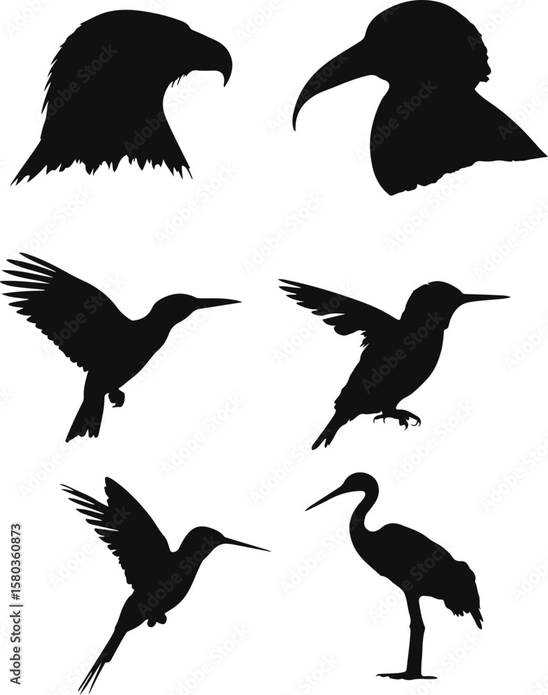 Obraz premium Collection of Bird Silhouettes Eagle, Toucan, Hummingbird, Heron