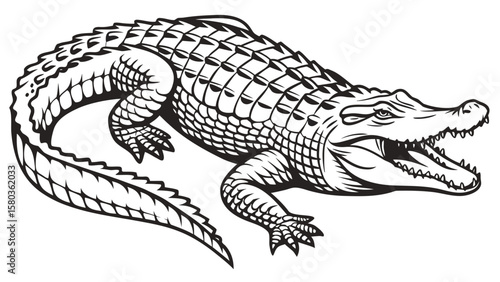 Fierce black and white illustration of an alligator with open mouth and sharp teeth