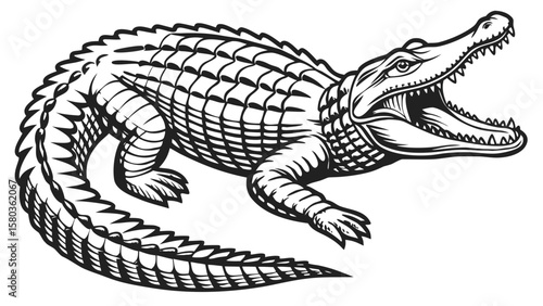 Fierce black and white illustration of an alligator with its mouth wide open