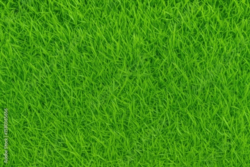 Wallpaper Mural Vibrant and lush green meadow with fresh grass Torontodigital.ca