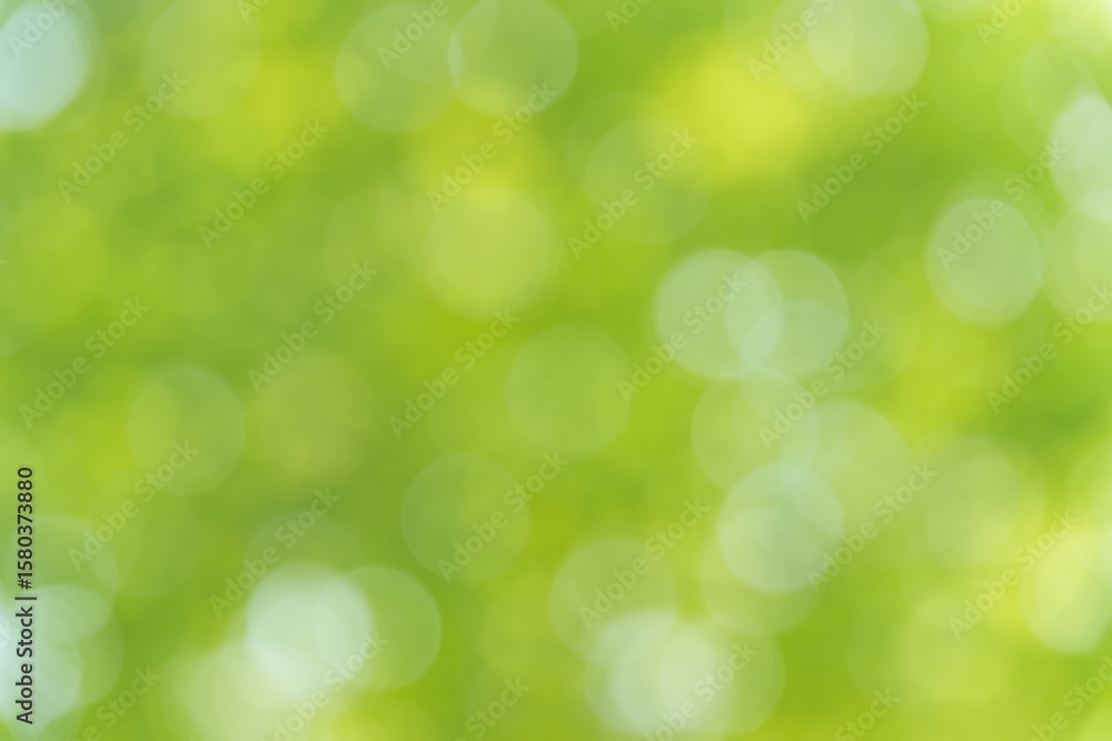 Green-themed abstract background featuring soft bokeh and a spring-inspired blurred effect Green-themed abstract background featuring soft bokeh and a spring-inspired blurred effect