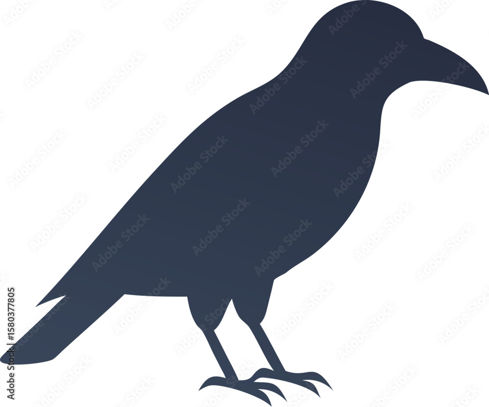 Fototapeta premium crow bird with white background
