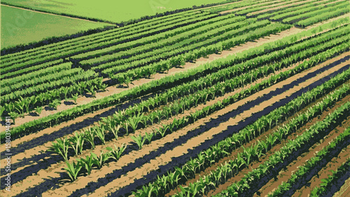 Golden Fields: Landscape of agricultural fields view isolated watercolor vector illustration svg