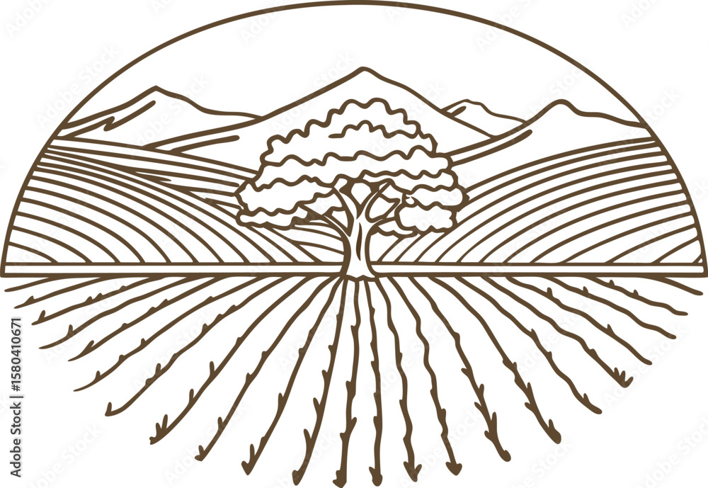 Fototapeta premium Vineyard and tree with mountains linear illustration of rural farmland, agriculture landscape, nature scenery