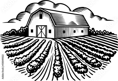 Rural barn and cultivated field landscape illustration vintage farmland scene with crops, agriculture, countryside
