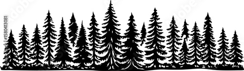 Silhouette of dense evergreen pine forest black and white conifer trees, nature landscape, woodland woodland border art