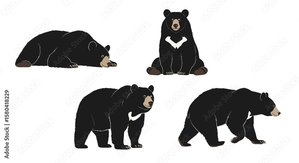 Naklejka premium Asian black bear in different poses on a white background - Concept of Animals in different poses 