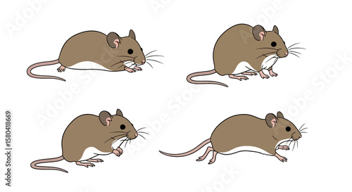 Illustrated brown mouse in different poses on a white background  