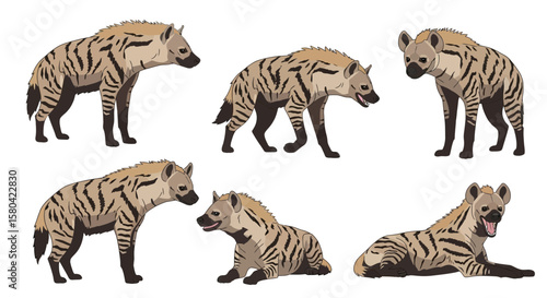 Striped hyena in various poses showcasing distinct characteristics  