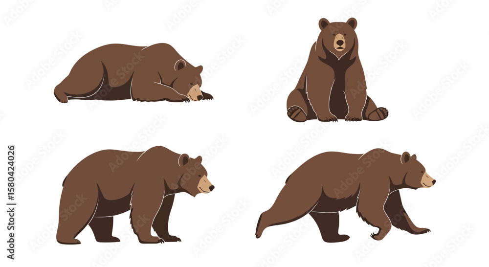 Fototapeta premium Four Ussuri brown bears in different poses and actions 