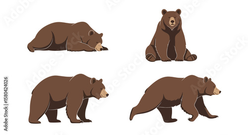 Four Ussuri brown bears in different poses and actions  