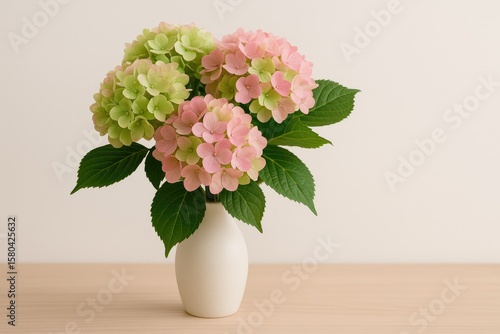 Vase with a bouquet of pink and green hydrangeas