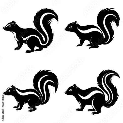 Four skunks displayed in black and white with bushy tails and distinctive stripe patterns in a square layout