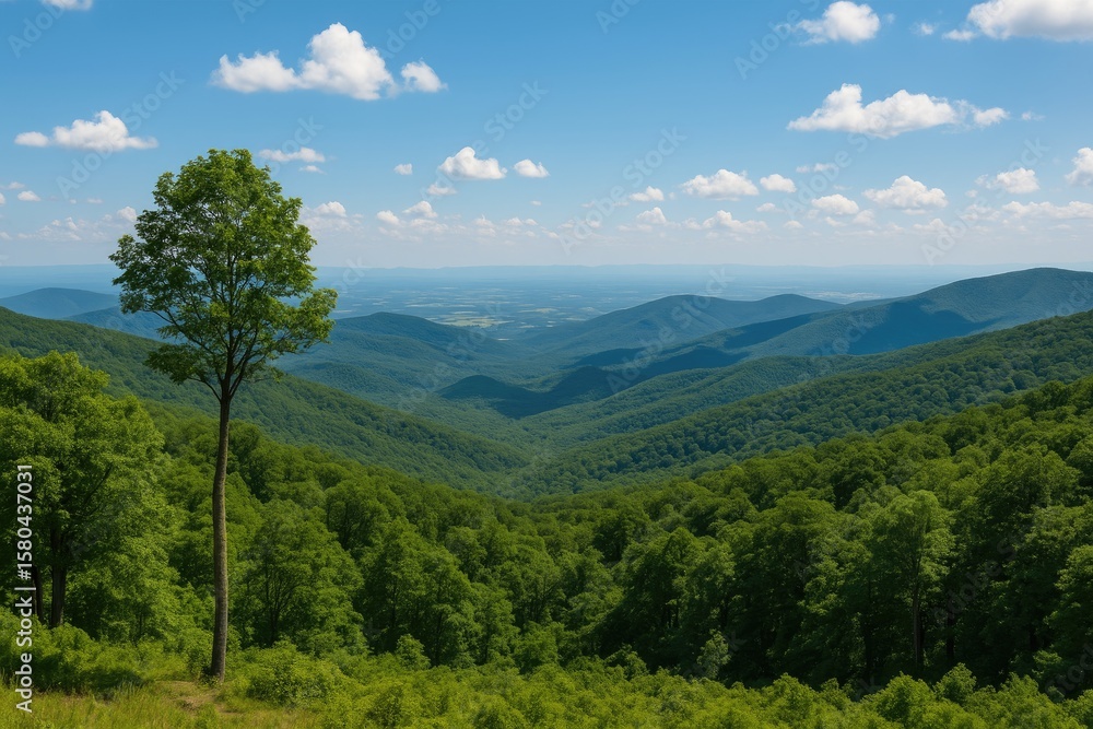 Fototapeta premium Exploring the Wilderness of Shenandoah National Park