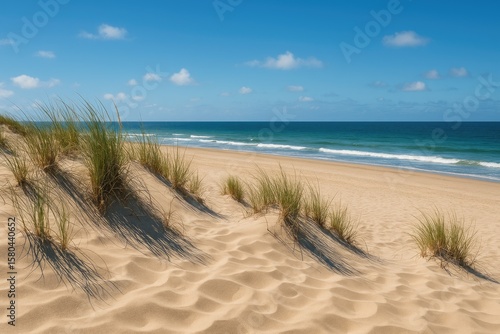 Golden sand hills meeting the ocean under a clear blue sky