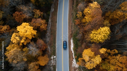 Car Driving on Road Through Autumn Trees Aerial View