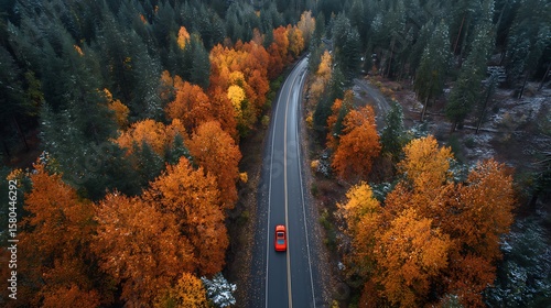 Car Driving on Road Through Autumn Forest