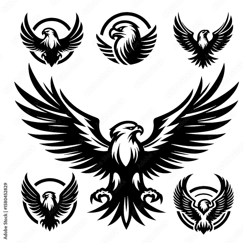 Fototapeta premium eagle with wings