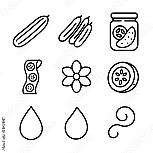 Cool Cucumber Icons. Outline style icons of Cool Cucumber Selection: English cucumber, Persian cucumber trio, lemon cucumber ball,