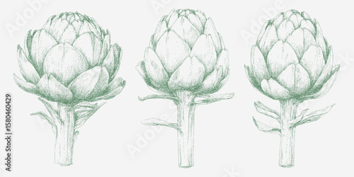 Three green artichokes with leaves. Retro pop art stipple sketch, paper photocopy texture, threshold.