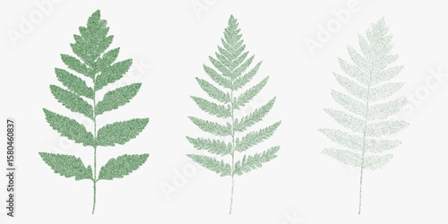 Three green fern leaves. Monochrome retro sketch with stipple ink texture and rough photocopy grain. Threshold and gritty halftone dots.