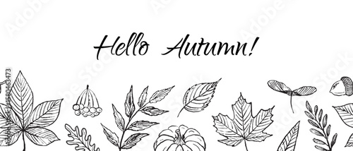 Seamless border with autumn falling leaves in black brush stroke texture isolated on white. Hand drawn vector sketch illustration in vintage charcoal ink. Chestnut, rowan tree, maple. Banner design.