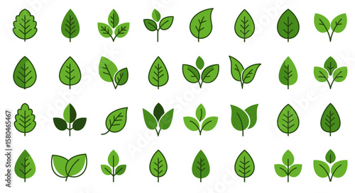 Nature's Symphony of Greenery: A vibrant collection of meticulously crafted leaf illustrations, showcasing the diverse forms and textures of nature's exquisite botanical art.